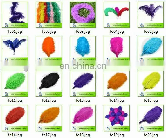 High quality Colorful Ostrich Feather