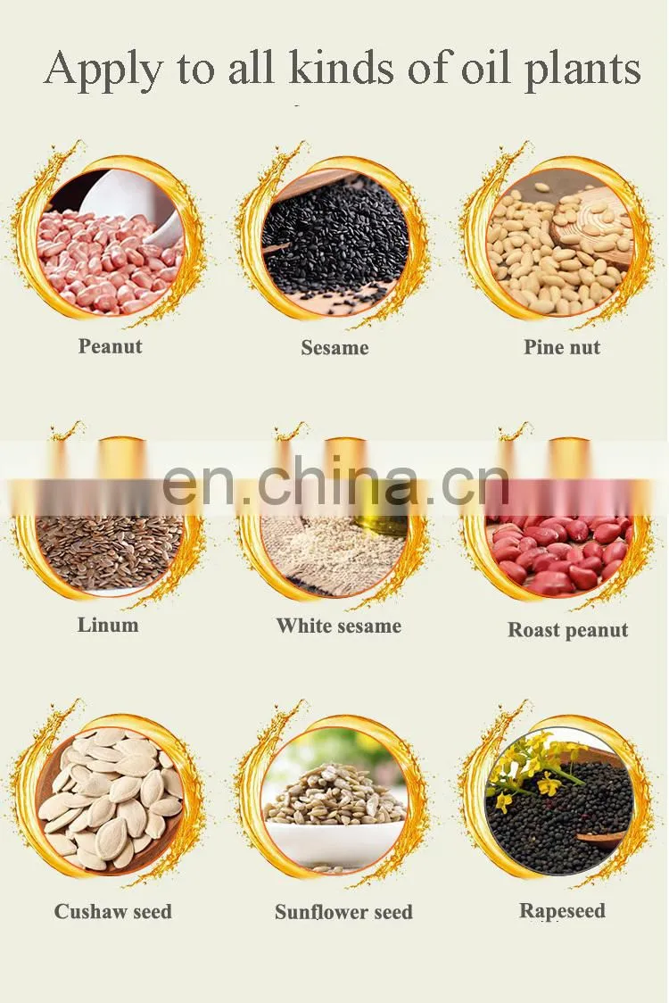lowest price home use oil extractor presser coconut/peanut/soybean/sunflower seeds oil extractor machine
