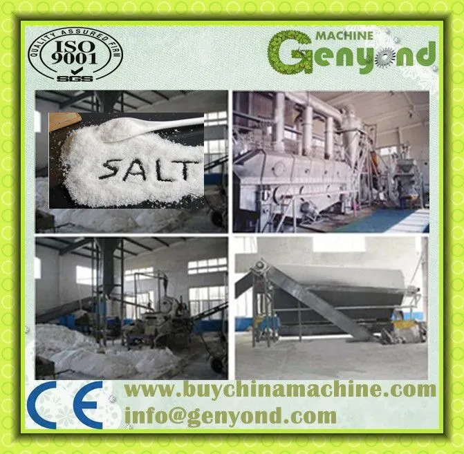 High Quality Salt Production Processing Line Plant Machine for Sale