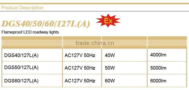 Flameproof LED roadway lights