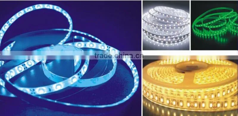CE Rohs Waterproof SMD 3528 Esptar chips 12V 24V low voltage 120 leds per meter flexilbe strip led light IP20 IP65 IP68 china