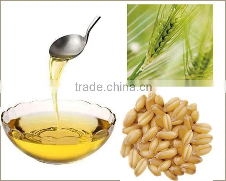 High Quality Cold Press Wheat Germ Oil Price