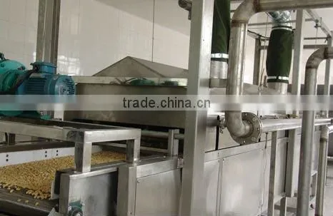 Kaier frying production line
