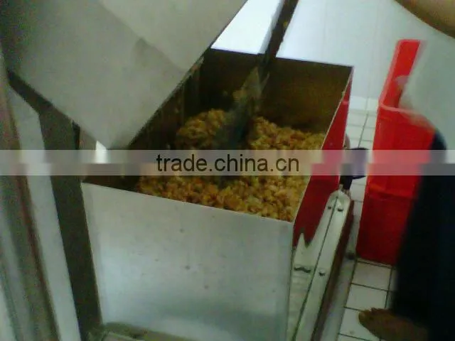 hot sales Apple juice production line(automatic)
