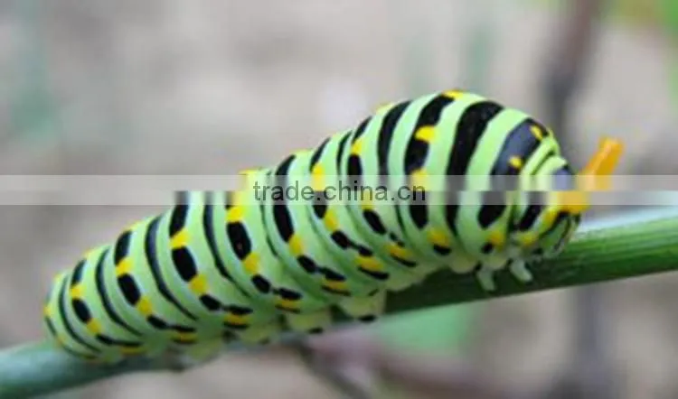 Robotic insect, lifelike insect, mechanical insect