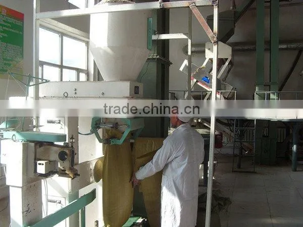wholesale sunflower seeds 5009 for human consumption