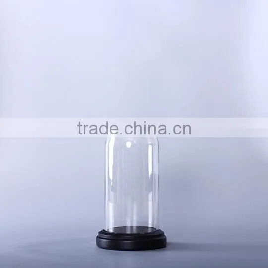 mini glass dome with base