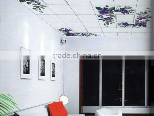 Plastic panels for walls