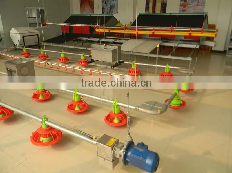 2014 hot-sale free layer feeding system
