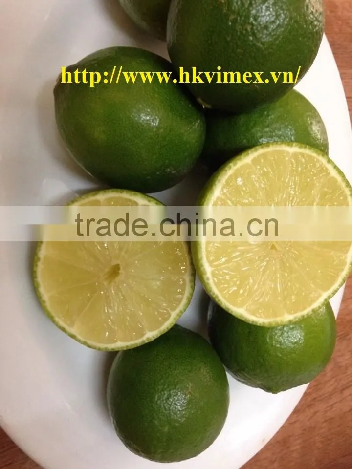 Fresh Lime / Lemon Vietnam