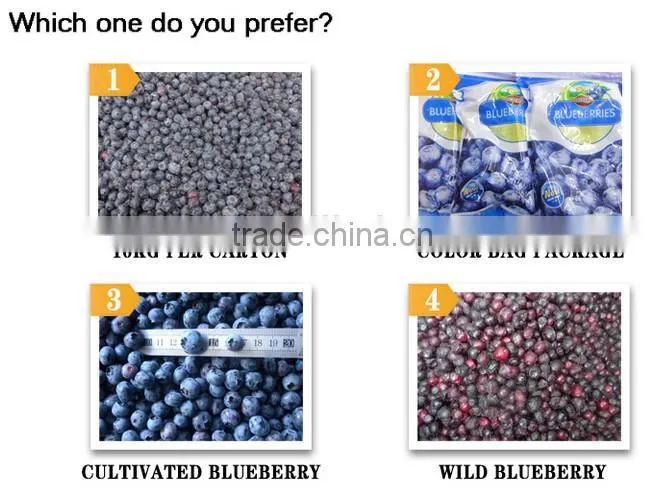 frozen iqf wild cultivated blueberry