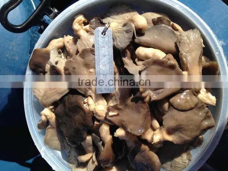 Pleurotus in brine