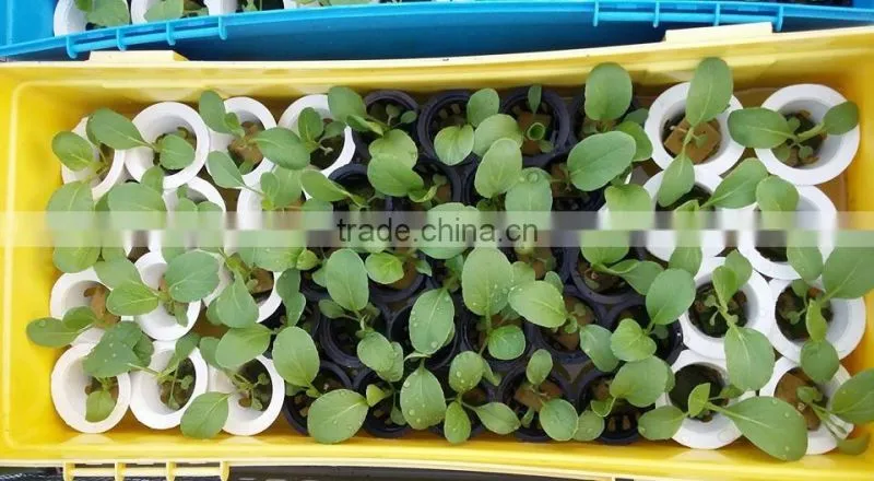 Mineral Fiber Rockwool cubes 100kg/m3 for Hydroponic high Absorbent water