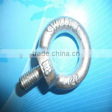Eye Bolt