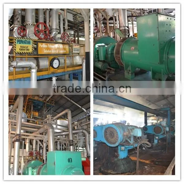 Sinar Mas Group partner 5TPH palm oil press machine