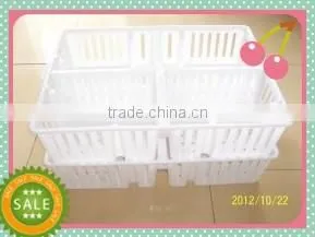the Hot quality the High utilization Rate of poultry Transport Box for chicken and duck