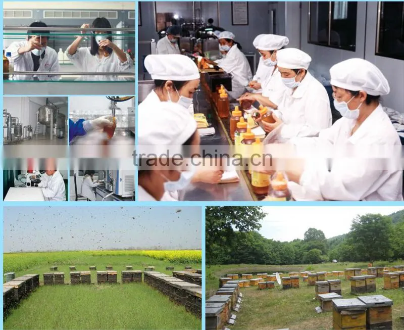pure green propolis powder bulk from beekeping supplier