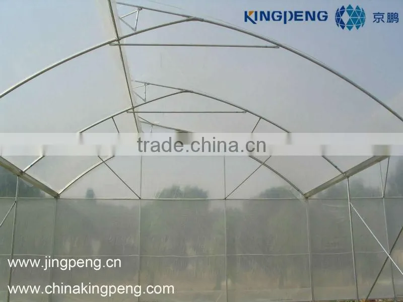 Strawberry plastic film greenhouse