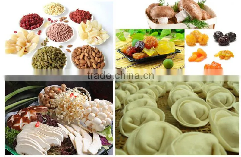 equipment from Guanfeng Food Machinery vegetables drying line