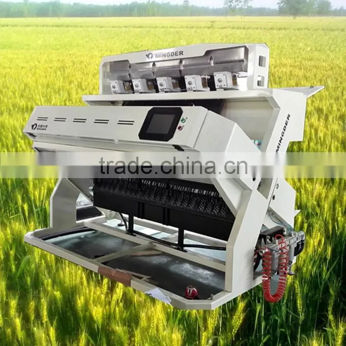 2015 new products 384 channels led light wheat color sorter with resonable rice