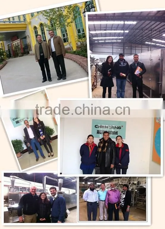 CY Automatic slanty snacks making machine /production line Skype:sherry1017929