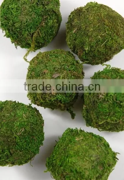 Handicraft Moss Ball