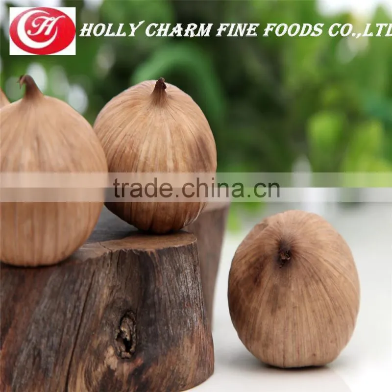 Manufacturer supply best price high quality solo black garlic