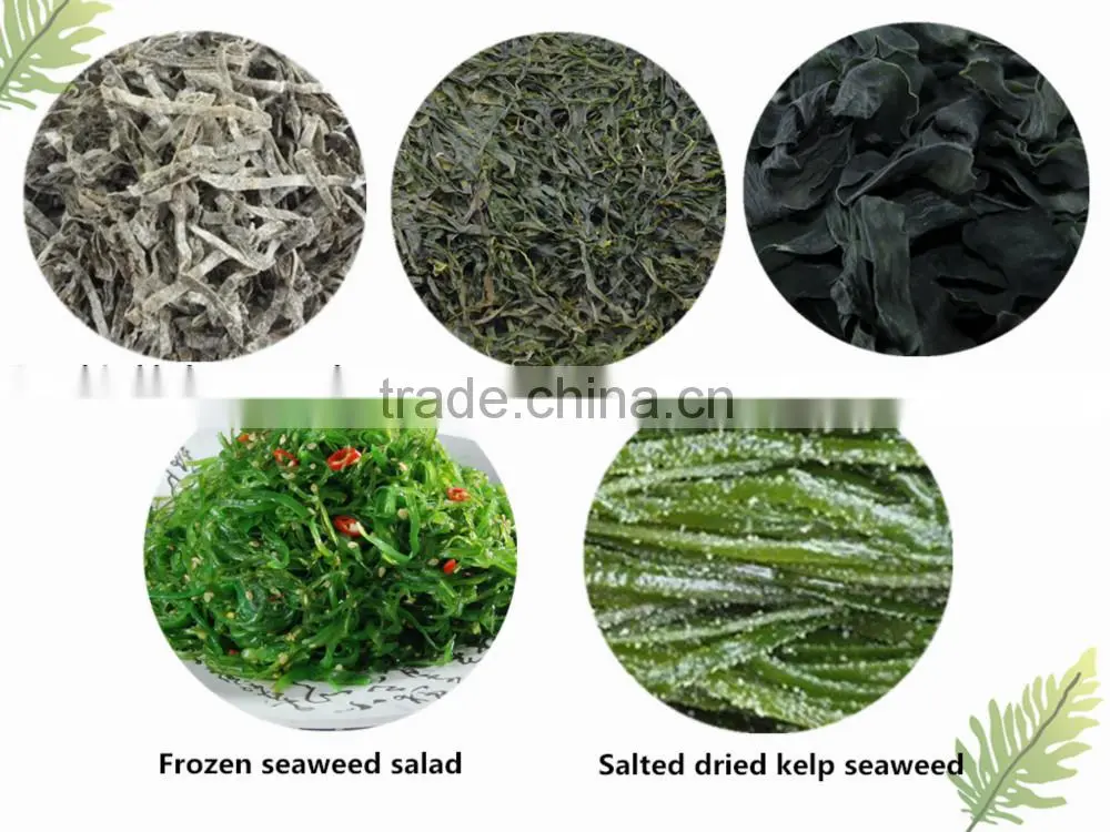 2015 Sun dried or machine dried kelp cut dried chuka wakame seaweed