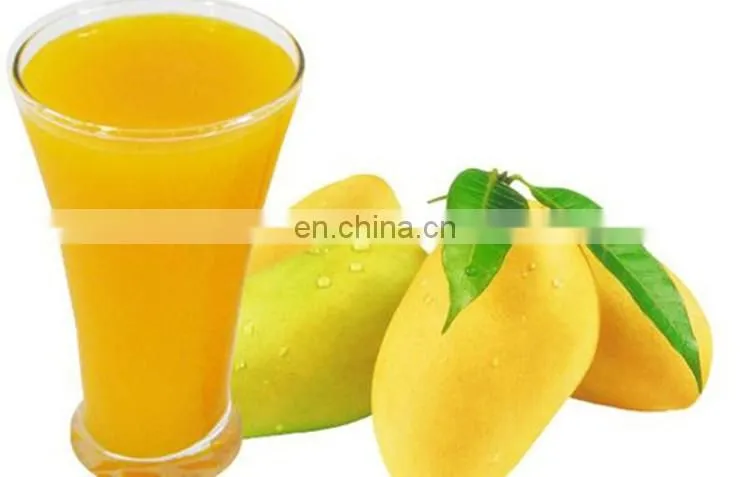 Shanghai Genyond mango processing machine for dry chips