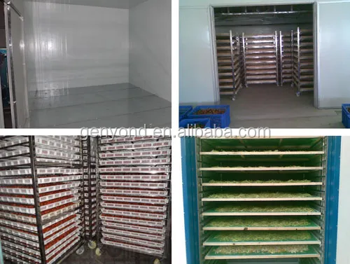 Factory Genyond Industrial Fruit Hot air Drying Oven Cabinet Machine/dehydration Equipment/industrial Food Dryer Dehydrator