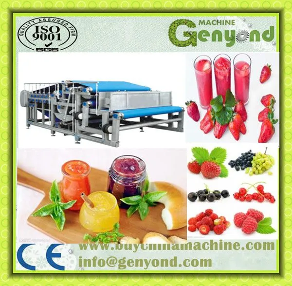 Industrial Cold Press Juicer/apple Juice Belt Press