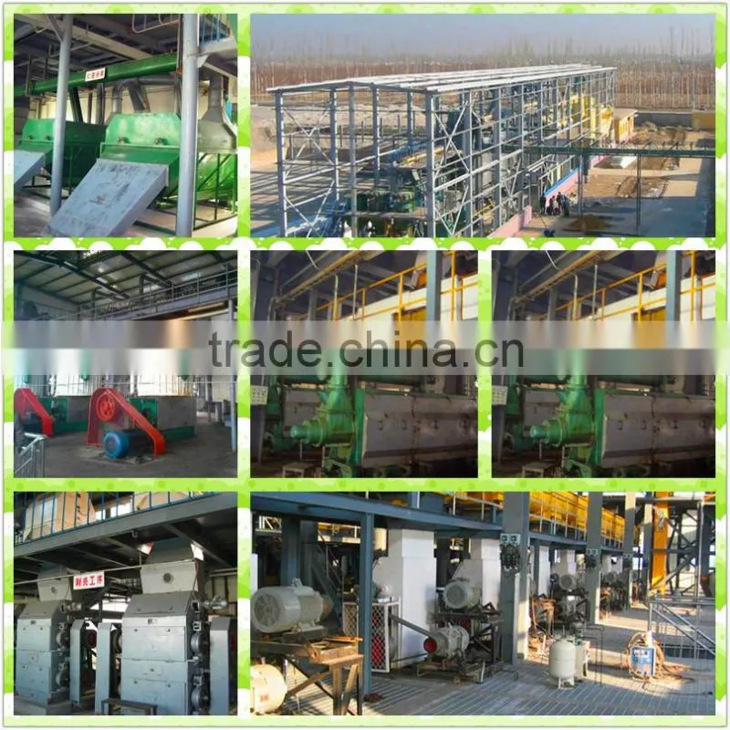 New design 500-1000TPD cotton seed oil production plant with low price