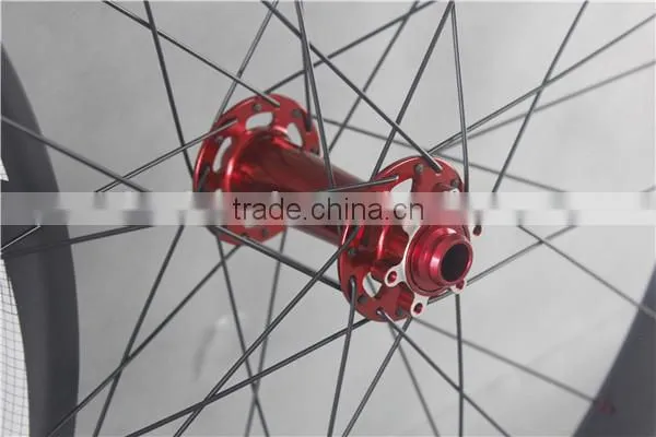 Painted cabron fat bike frame with UD-matt fat bike wheels with ICAN logos FW65