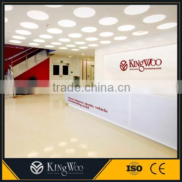 CE Approved China Supplier Electric Sightseeing Car/Bus