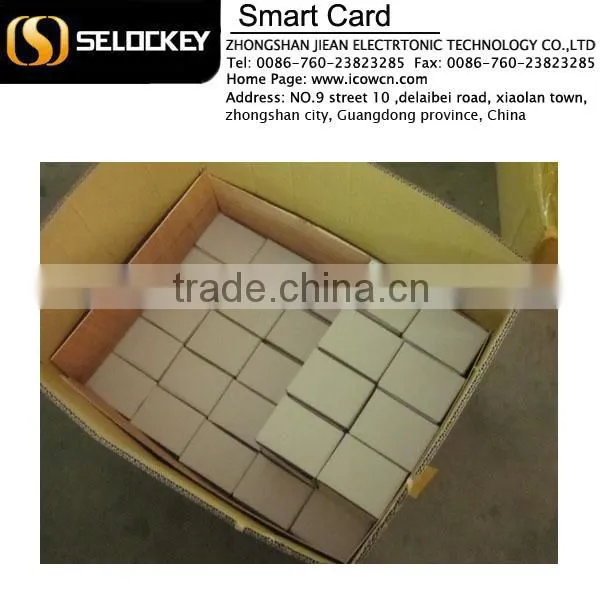 hot selling colorful ibutton DS1990 TM memory card free sample(TM199A-F5)