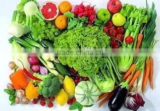 commercial vegetable cutter . factory direct supply vegetavles slicer machine