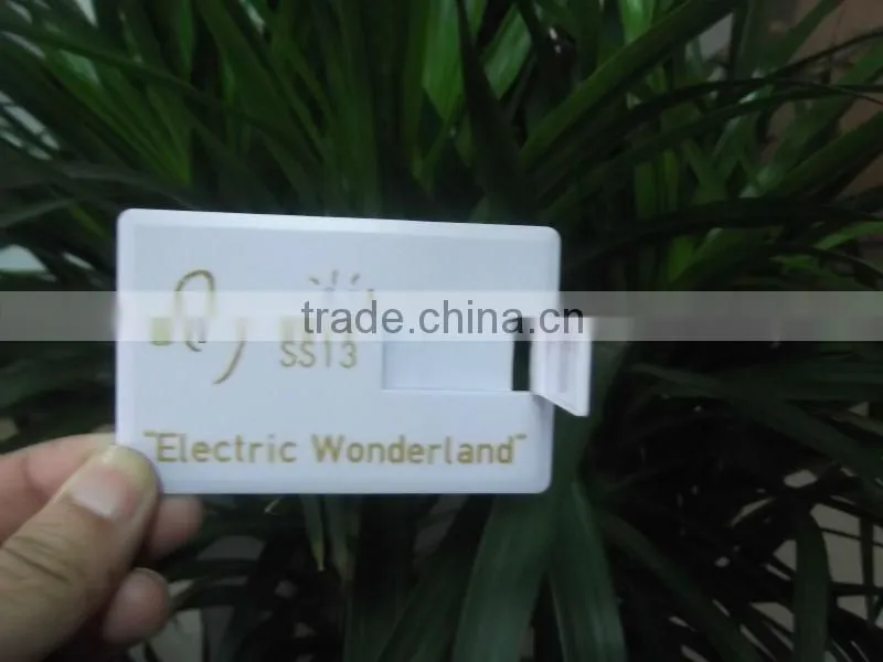 Blank usb card 4GB