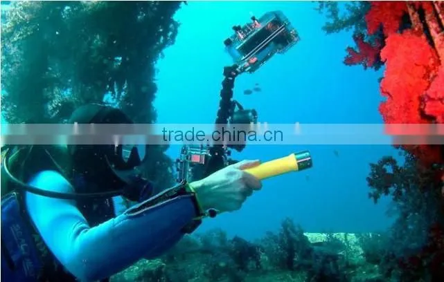 Discover the Oceanic World With Topcom's Professional Diving LED Flashlight