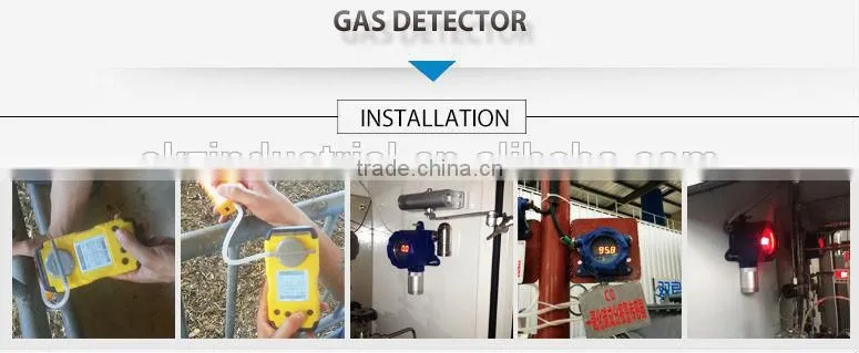 Digital gas analyzer