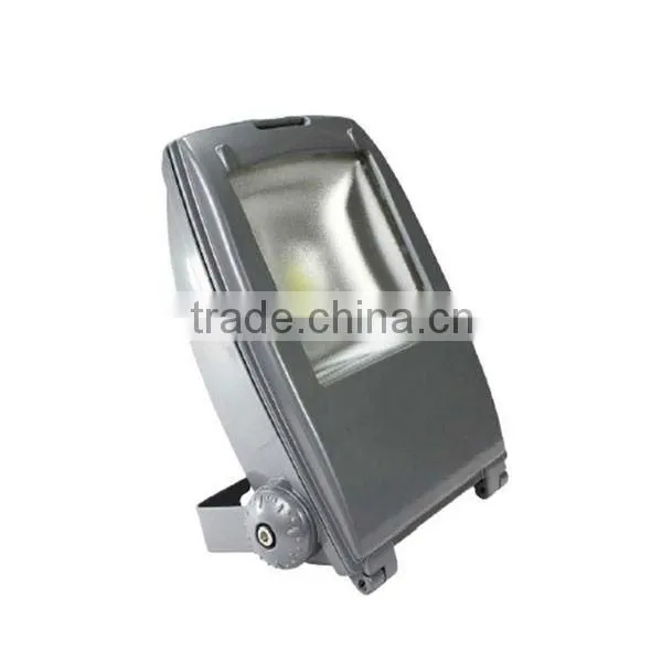 Backpack Type COB LED 30W Floodlight