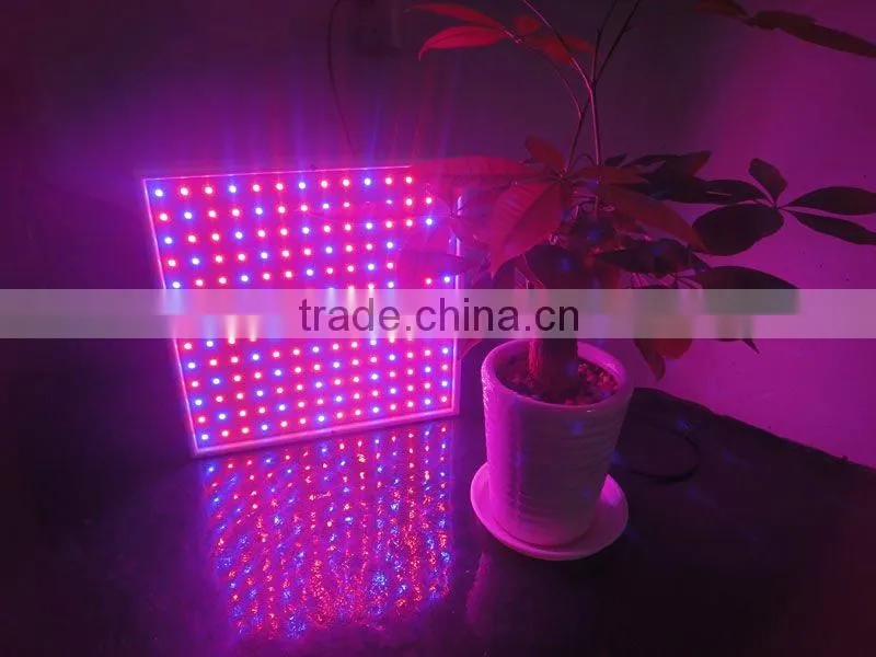 2013 HOT DIY mini led grow lights
