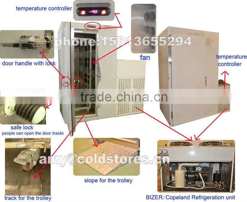 instant freezer for 300kg strawberry freezing