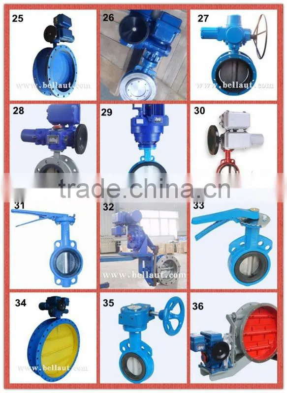 Worm Gear Wafer Butterfly Valve