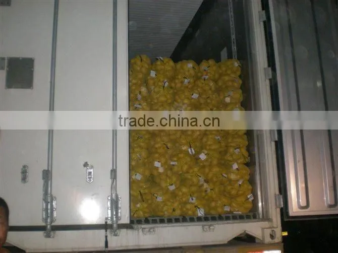 fresh potato from Chinese holland potato farms