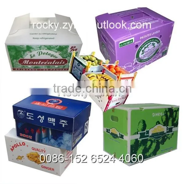 strong PP corrugated tree guards tree protection