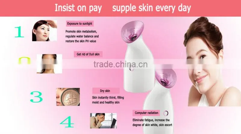 Personal Ionic Spa Facial Steamer, Spa Facial Equipment For Skin Care, Face Steaming Machine