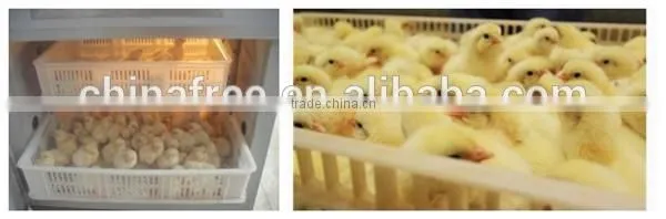 Professional mini egg incubator for sale chicken egg incubator price