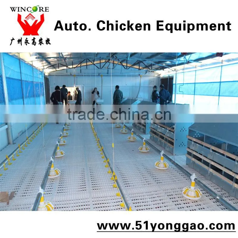 drinkers for chickens,automatic drinker for chicken