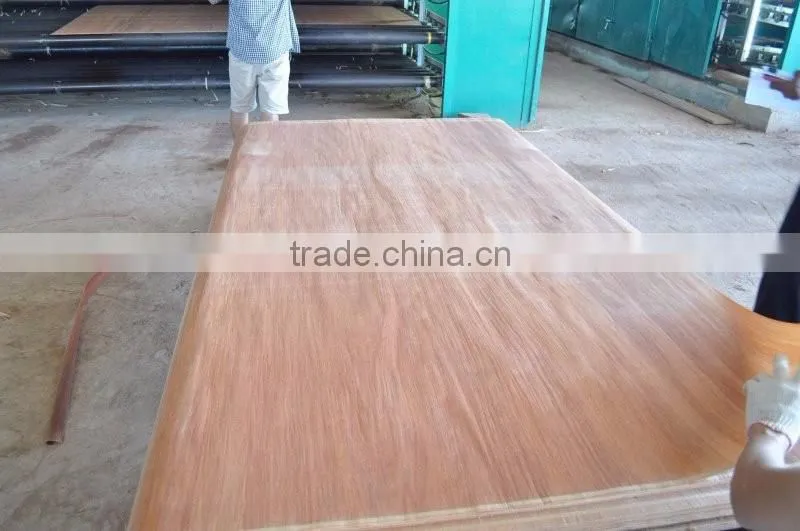 Keruing Face Veneer Rotary to India 100 % grade C 3mm thickness