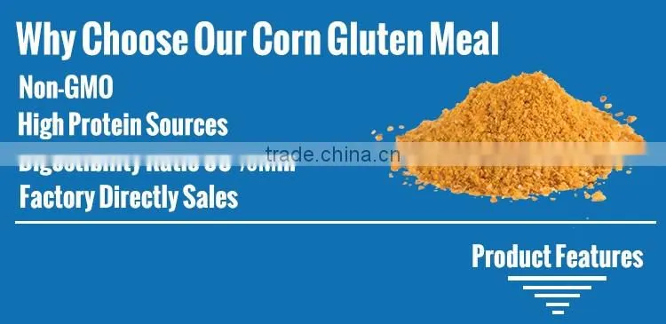 Non-GMO Corn Gluten Meal For 65 Protein